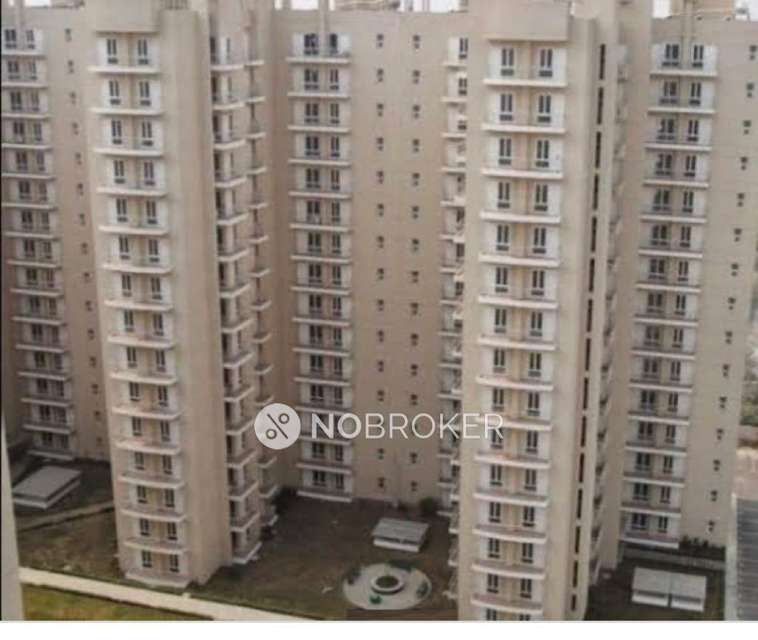 3 BHK Flat In The Ozone Park Apartments For Sale  In Sector 86