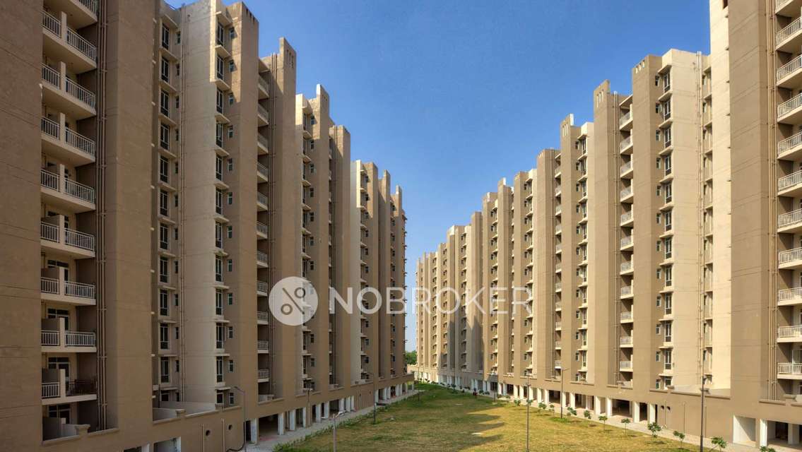 2 BHK Flat In Conscient Habitat for Rent  In Sector-99a