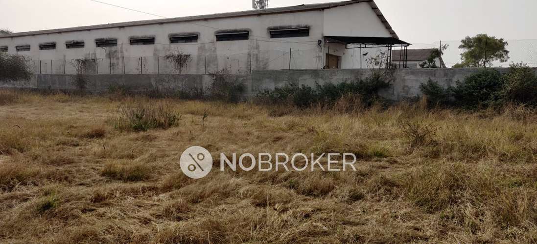 3 BHK Flat In Sb for Rent  In Wadgaon Sheri