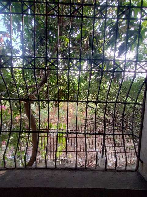 4+ BHK House For Sale  In Sanpada