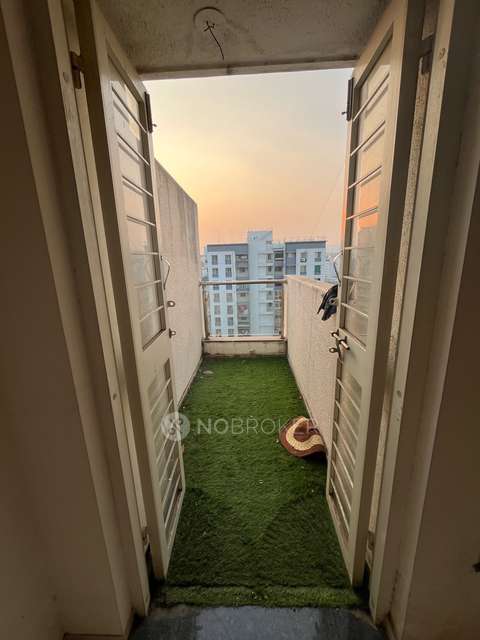 2 BHK Flat In Pavilion 79 for Rent  In Hinjawadi