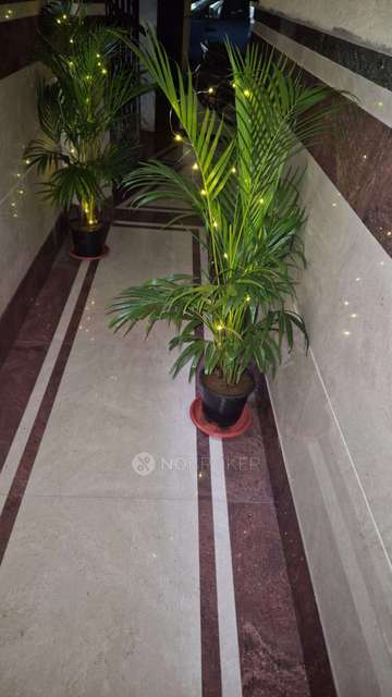 1 BHK Flat In Ashiana Panvel Paradise For Sale  In Panvel