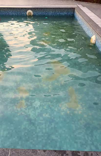 3 BHK Flat In Kunal Iconia for Rent  In Mamurdi