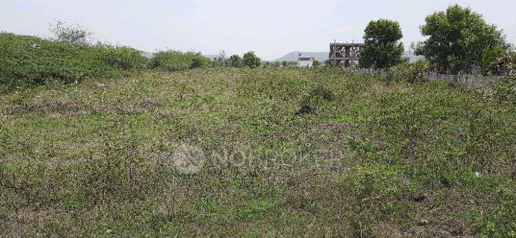 Plot For Sale  In Kesnand Phata