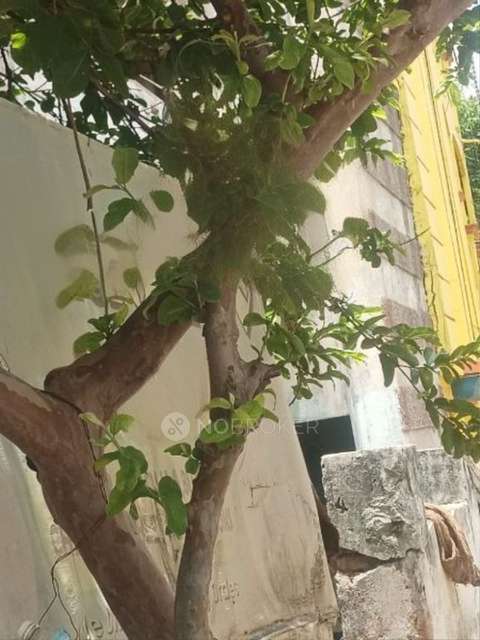 1 BHK House for Rent  In Malkajgiri