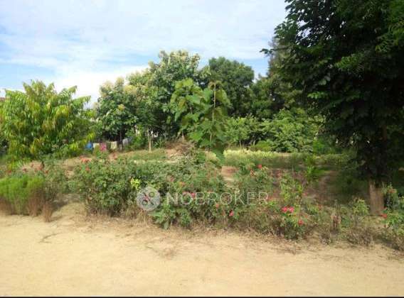 PG for Boys in Raj Nagar Extension