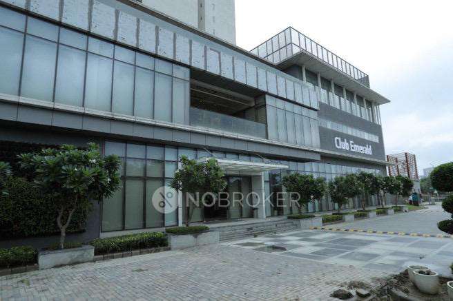 3 BHK Flat In Godrej Woods For Sale  In Sector 43