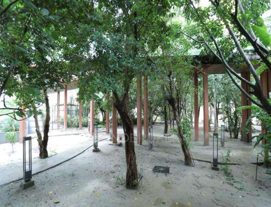 3 BHK Flat In Godrej Woods For Sale  In Sector 43