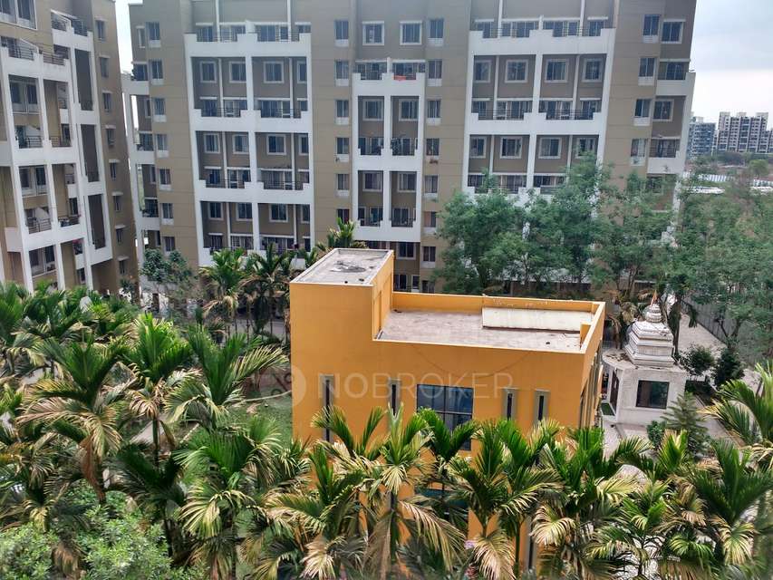 2 BHK Flat In Sukhwani Palms for Rent  In Wagholi, Charholi Budruk