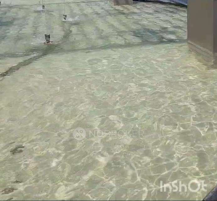 3 BHK Flat In Godrej Tropical Isle For Sale  In Sector 146