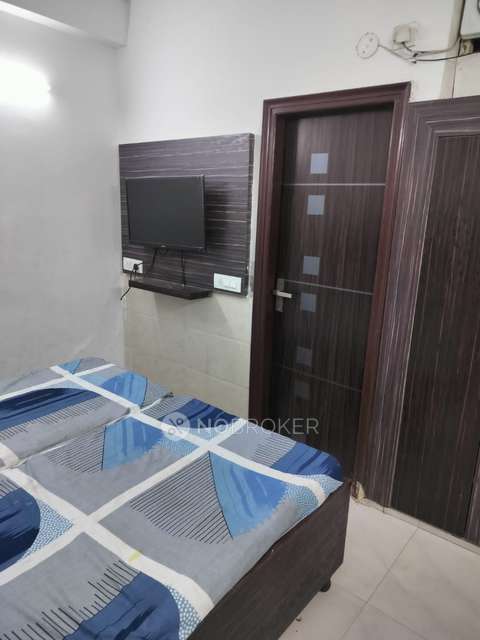 PG for Anyone in Sector 28