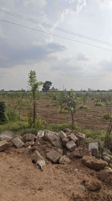 Plot For Sale  In Jukal