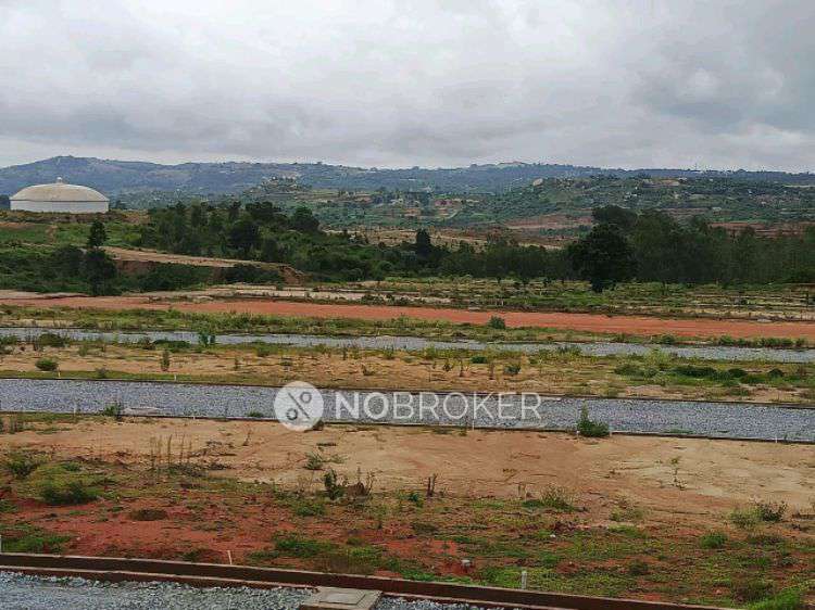 Plot For Sale  In Rayasandra