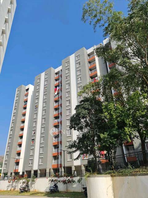 1 BHK Flat In Yashone Pirangut for Rent  In A-wing, Yashone Apartment, ???????, ?????????? 412115, India