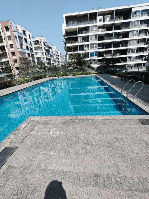 3 BHK Flat In Signature Park  For Sale  In Dange Chowk