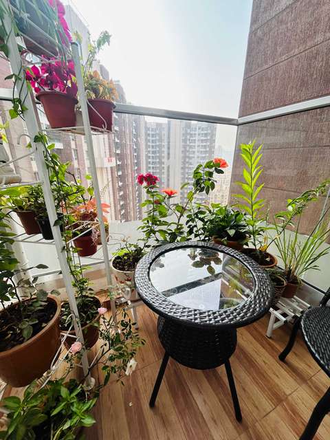 2 BHK Flat In Vtp Belair for Rent  In  Mahalunge, 