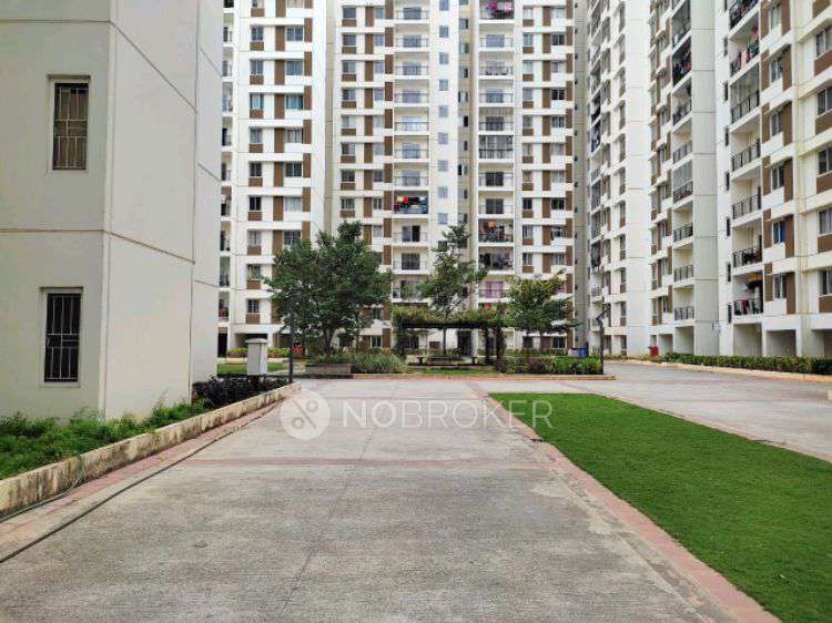2 BHK Flat In Tata New Haven for Rent  In Dasanapura Hobli