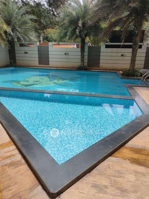 3 BHK Flat In Ds Max Springfield For Sale  In Anagalapura