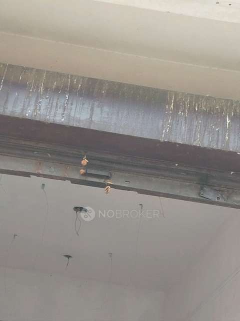 Shop in Sector 66, Noida for Rent 