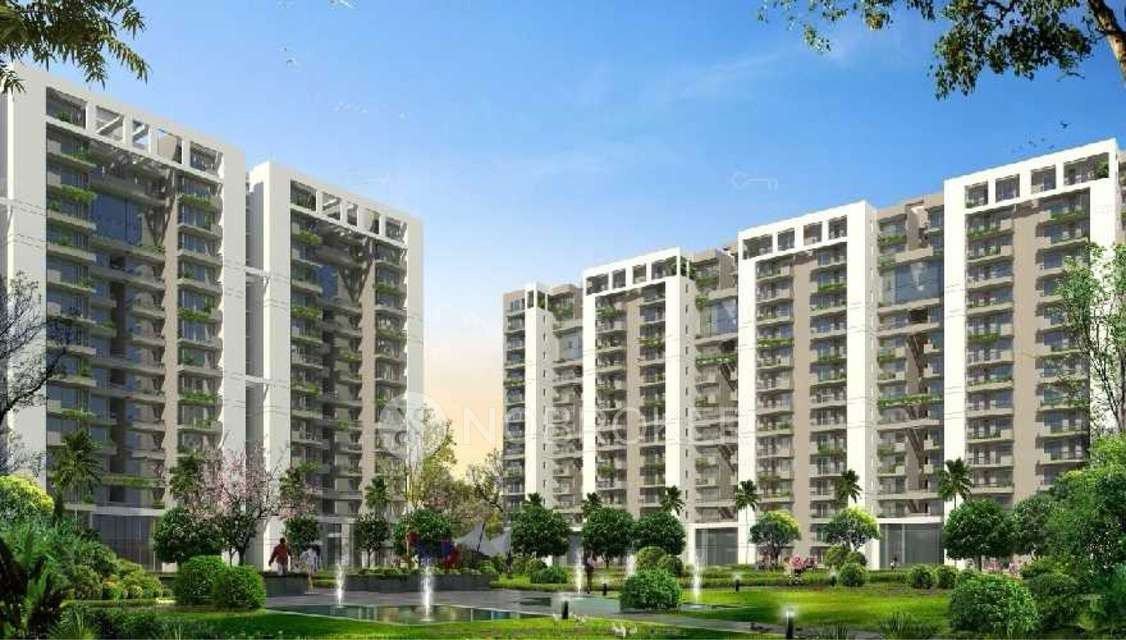 3 BHK Flat In Tulip Violet For Sale  In Sector 69