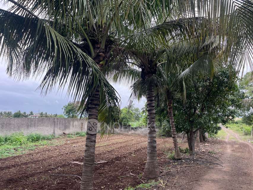 Plot For Sale  In Jagdamba Park In Kolwadi