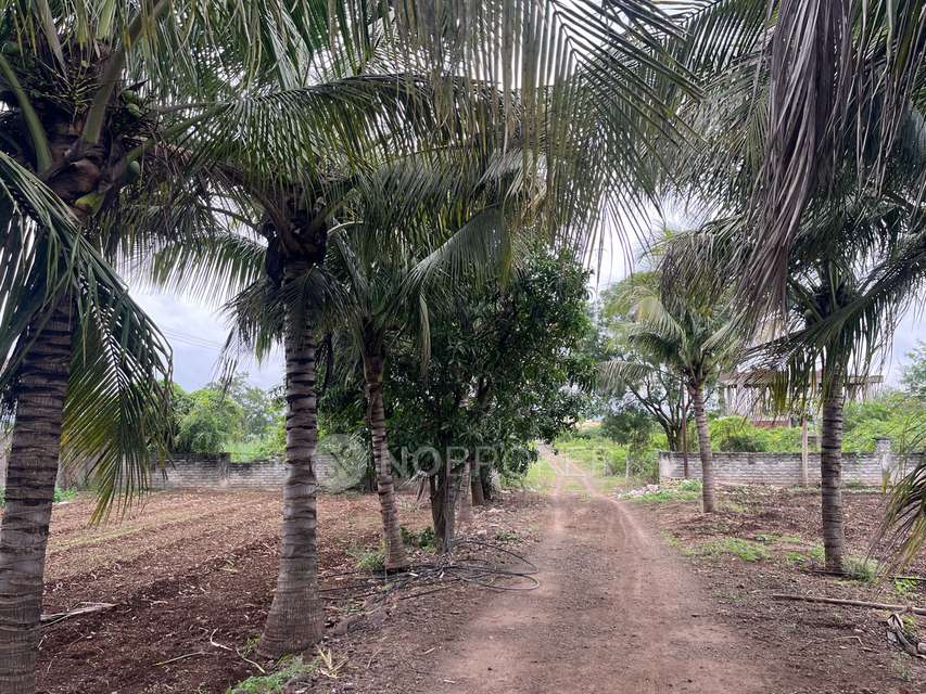 Plot For Sale  In Jagdamba Park In Kolwadi