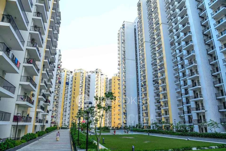 Single Room for Male In 3 BHK  In Panchsheel Hynish In Sector 1 Greater Noida West