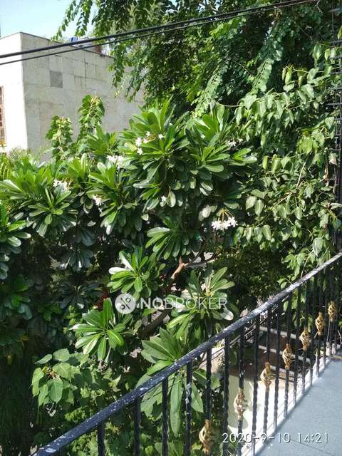 4 BHK House For Sale  In Sector 15a