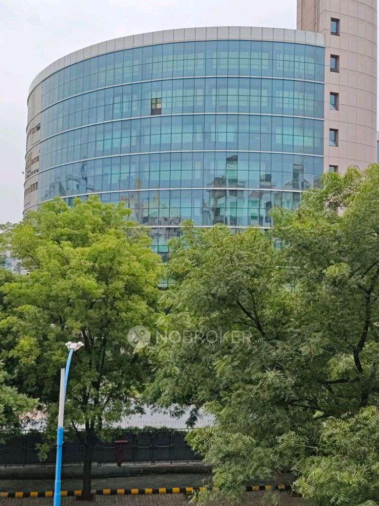 Magarpatta City Iris