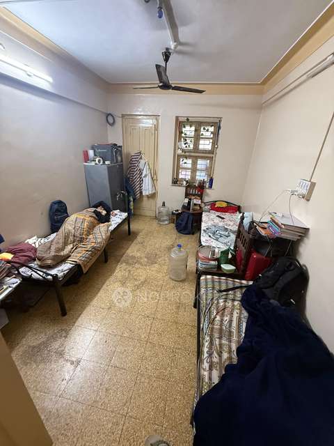 1 BHK Flat In Nav Bharat Society for Rent  In Sadashiv Peth