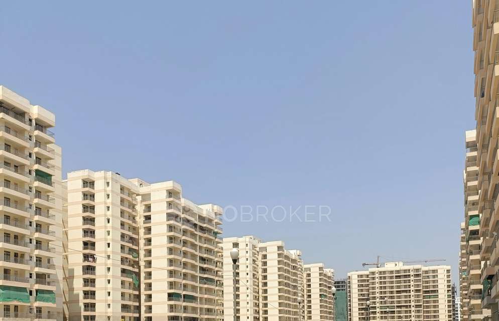 1 BHK Flat In Golf View Apartments for Rent  In Dwaraka