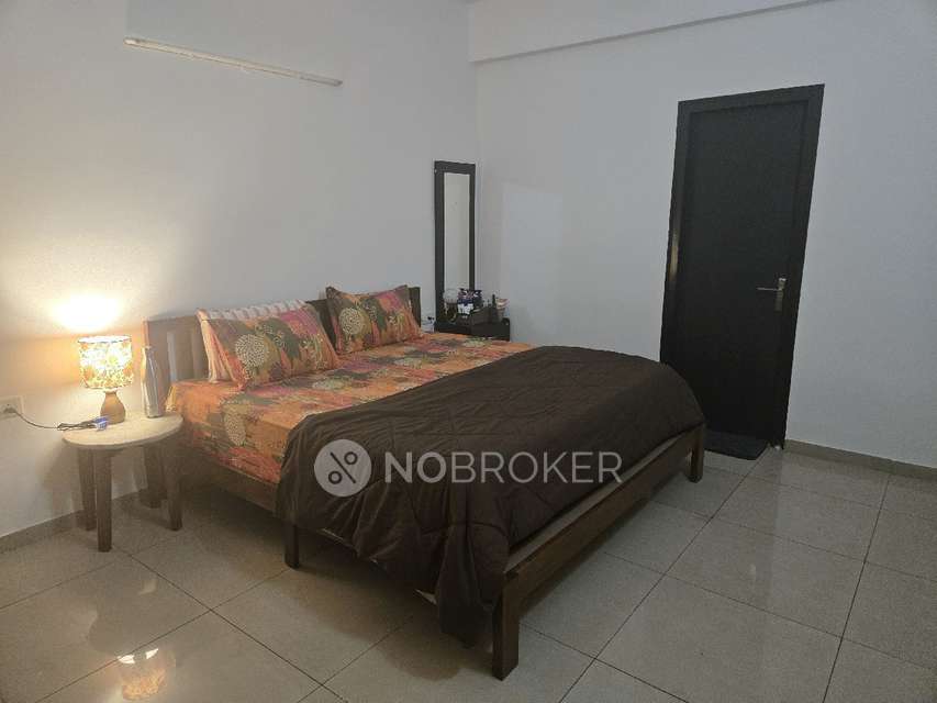 Single Room for Male In 3 BHK  In Gulshan Vivante In  Sector 137