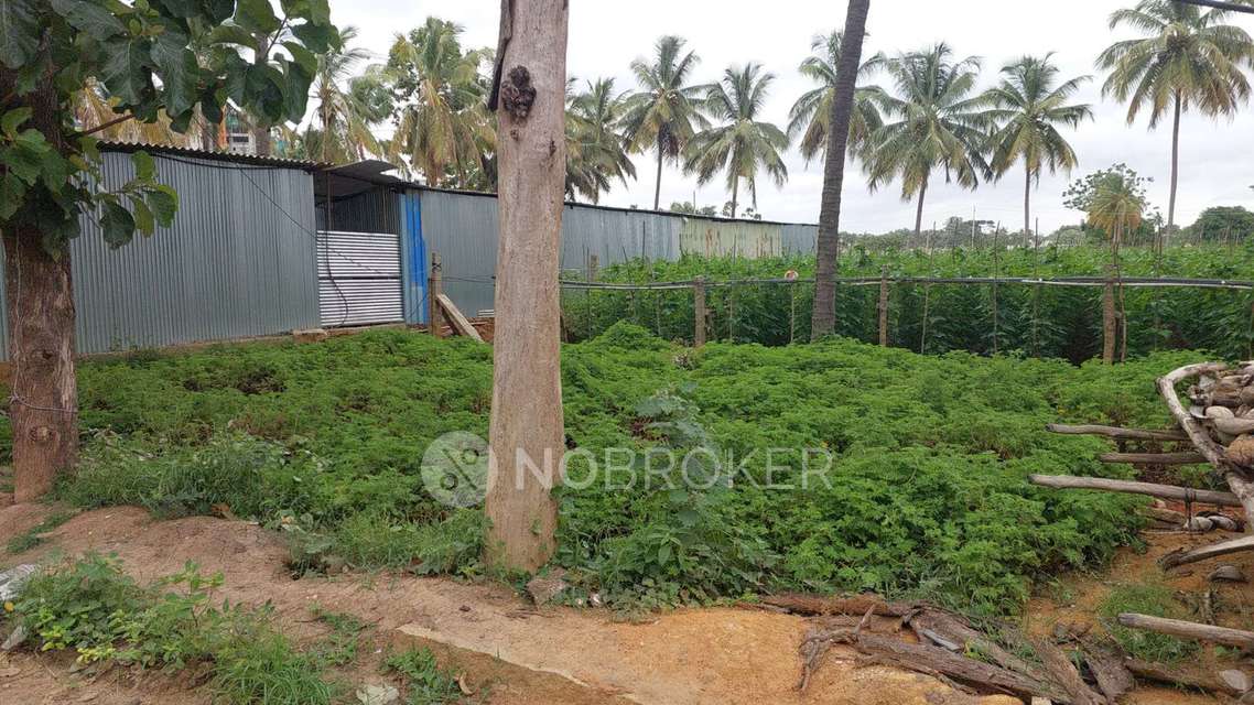 Godown/Warehouse in Bychapura, Bangalore for Rent 