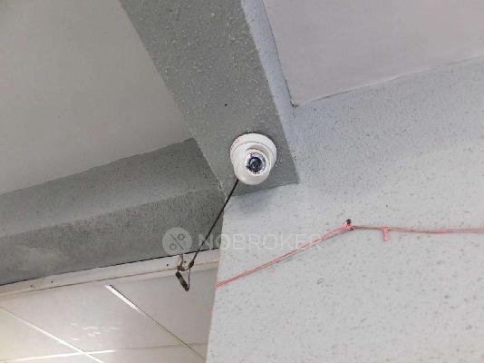 PG for Anyone in Hinjewadi Phase 1 Road