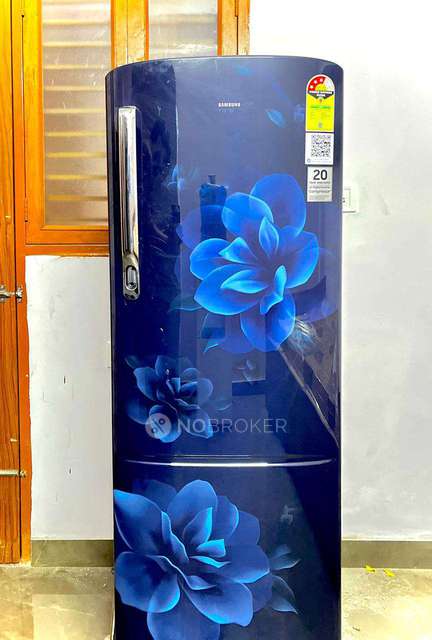 PG for Anyone in Sector 33