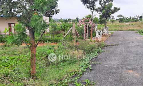 Plot For Sale  In Shankara Agraharam