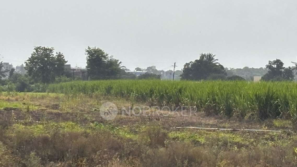 Industrial Shed in Alandi, Pune for Rent 