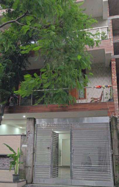 PG for Girls in Phi Ii