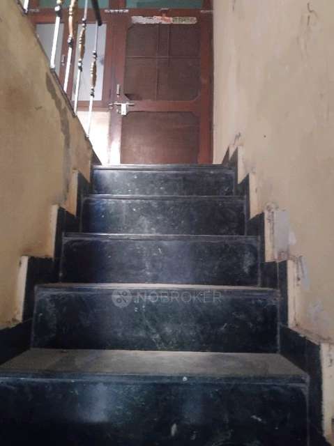 1 BHK Flat In Sb for Rent  In Chhatarpur
