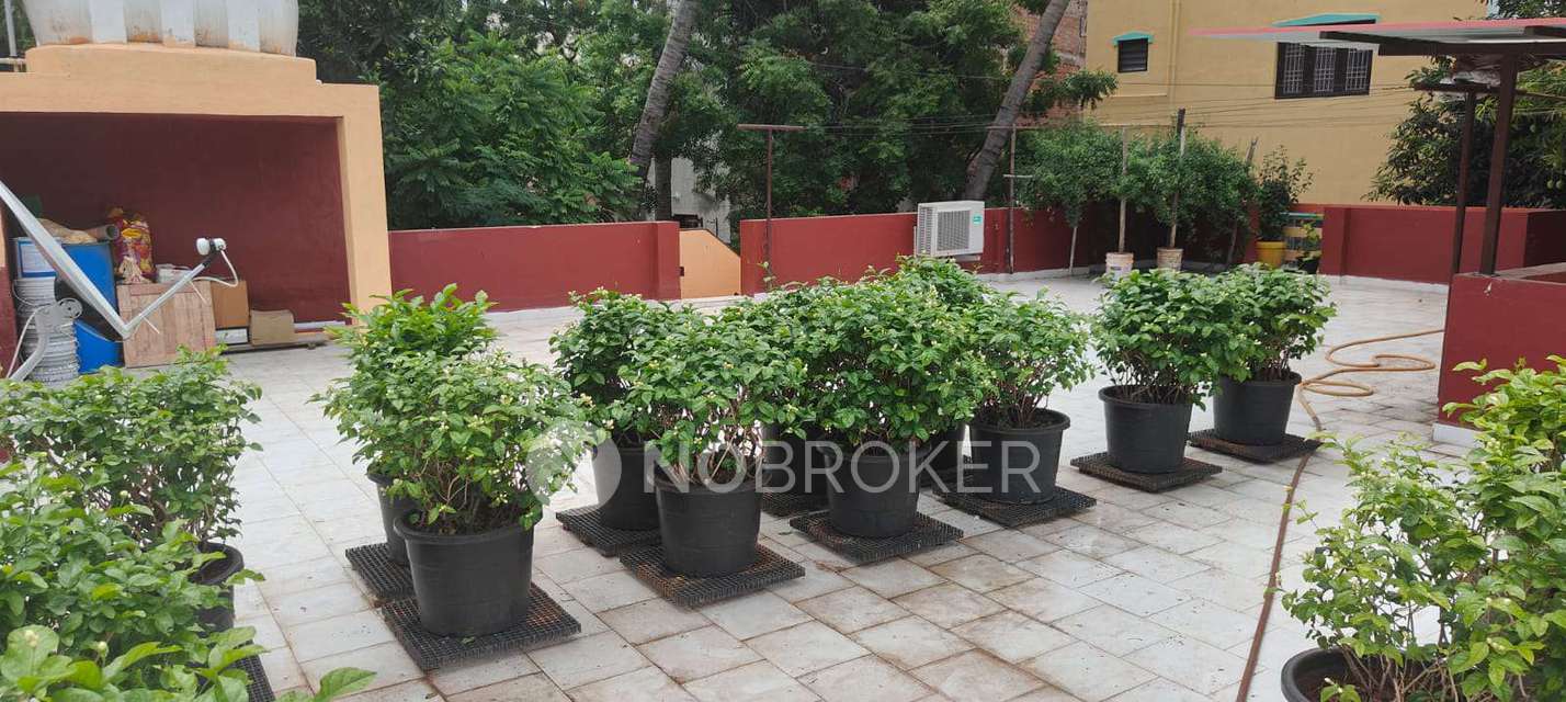 3 BHK House For Sale  In Annanagar East