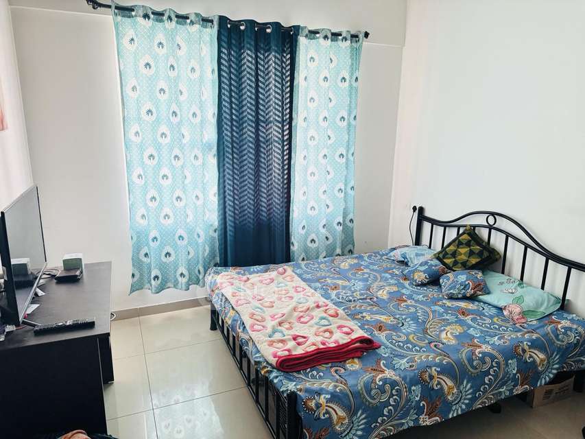 1 BHK Flat In Kolte Patil Life Republic Avenue 6 for Rent  In Hinjewadi