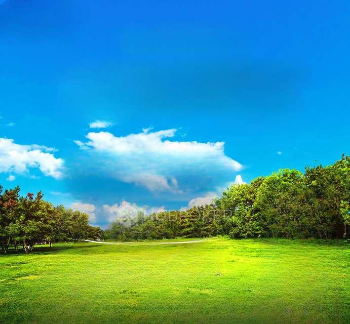 Plot For Sale  In Chikkaballapur