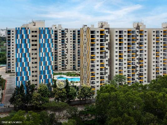 2 BHK Flat In Adarsh Lake Front For Sale  In Kaikondrahalli