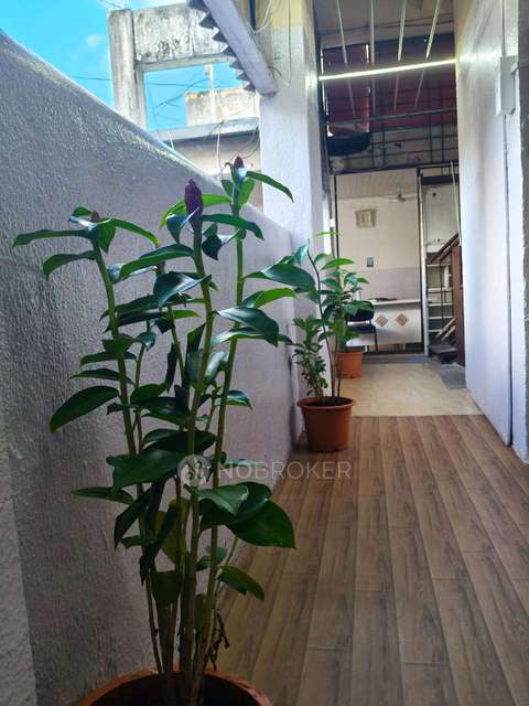 PG for Girls in Shagun Chowk