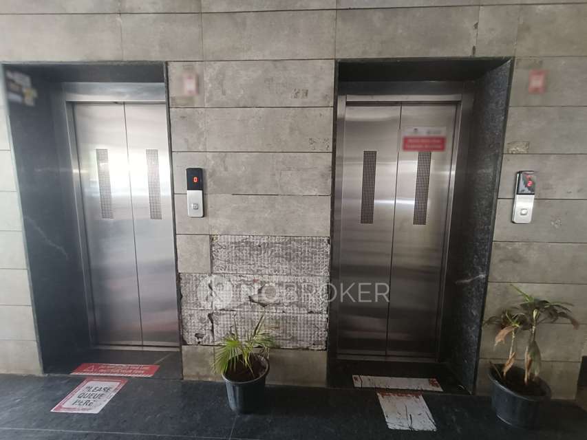 1 BHK Flat In La Melosa for Rent  In Wakad