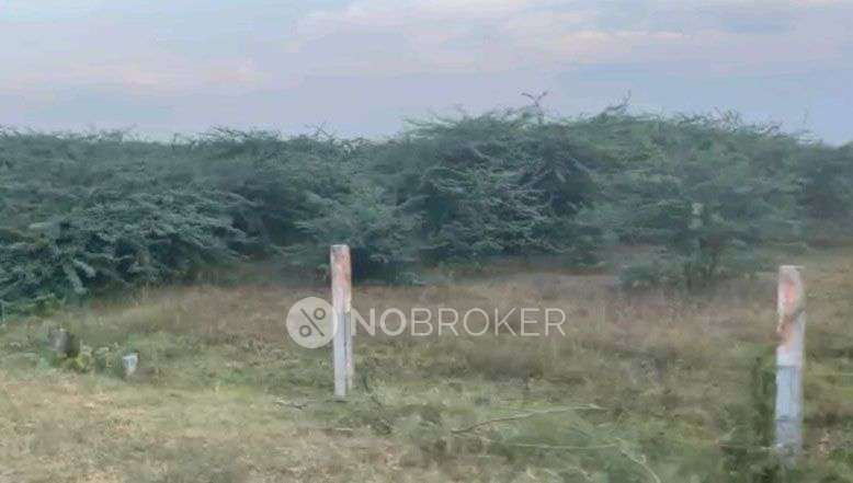 Plot For Sale  In Minjur