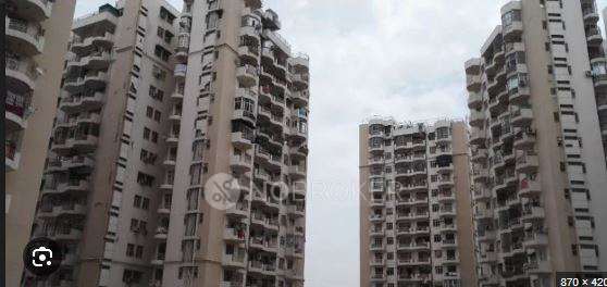 Shared Room for Female In 3 BHK  In Maple Height In Sector 43