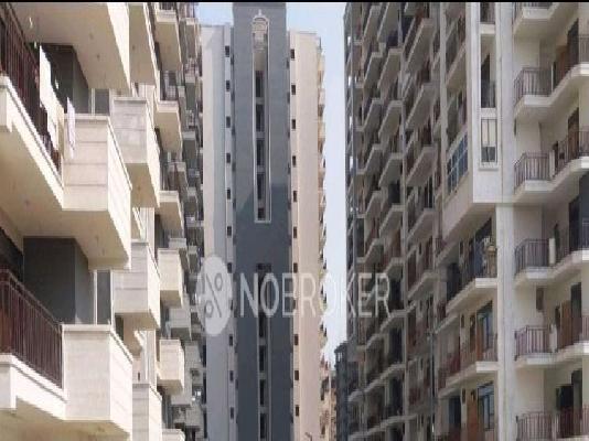 3 BHK Flat In Amolik Sankalp Sector 85 for Rent  In Sector 85