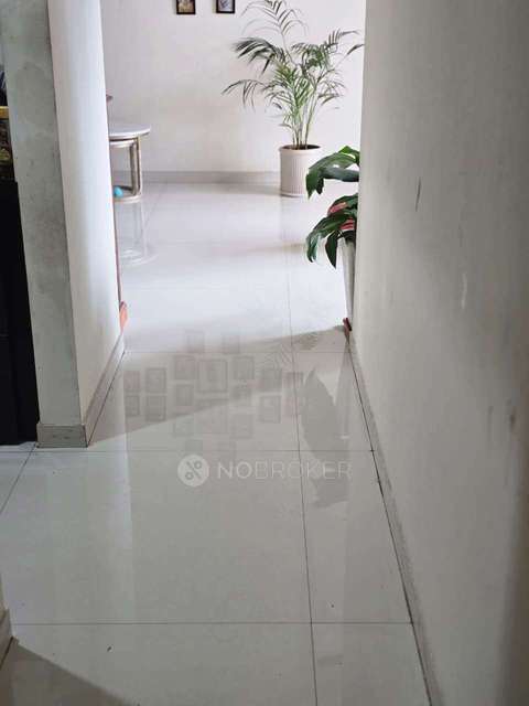 2 BHK Flat In Megapolis Saffron  for Rent  In Hinjawadi