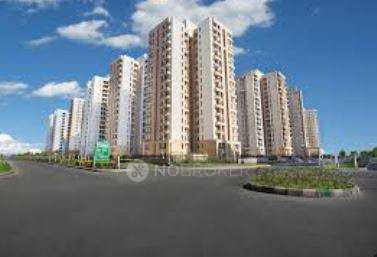 Single Room for Male In 3 BHK  In Jaypee Kosmos In Sector 134